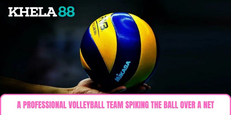 A professional volleyball team spiking the ball over a net representing Volleyball Betting A professional volleyball team spiking the ball over a net representing Volleyball Betting
